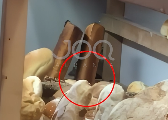 Qytetari filmon miun në vitrinën e furrës së bukës  Jam shokuar 