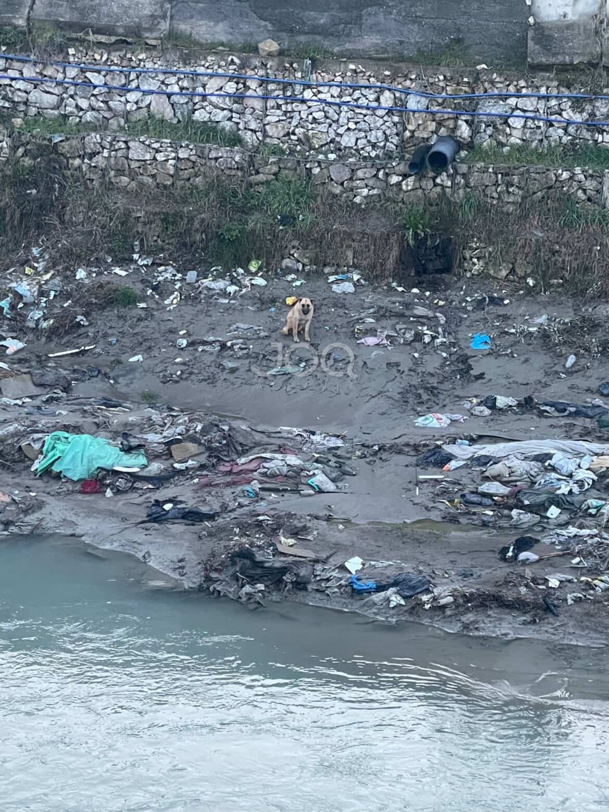 qeni-i-bllokuar-prej-ditesh-ne-lumin-zeze-ne-fushe-kruje-kerkohet-ndihme-urgjente-per-shpetimin-e-tij