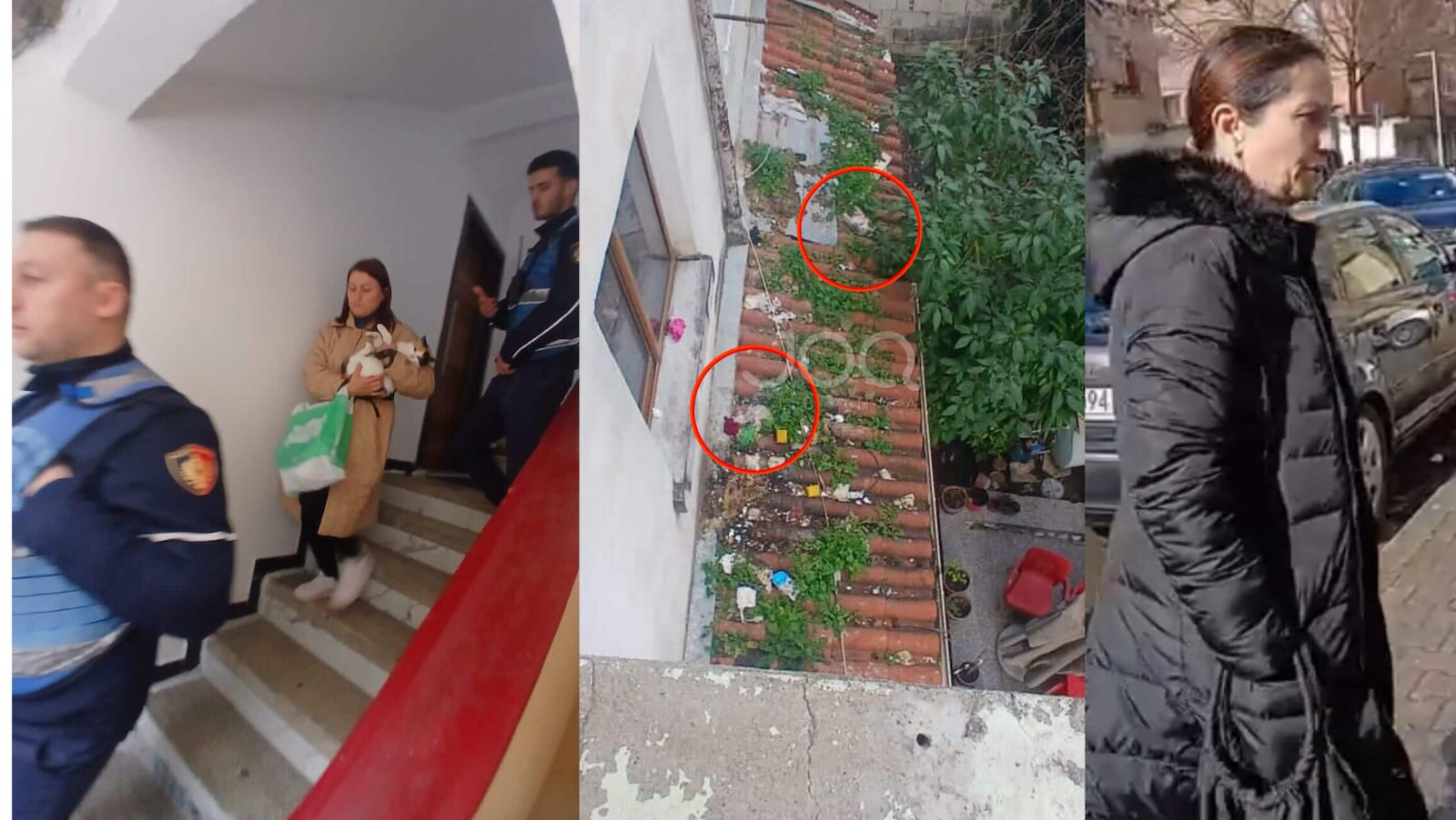 “Pasi i torturon macet, i fut në qese dhe i hedh nga ballkoni, policia në dijeni por nuk vepron!”