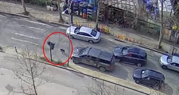 Drejtësia vret dy herë lypësin 7 vjeçar  lë jashtë qelisë shoferët që i morën jetën