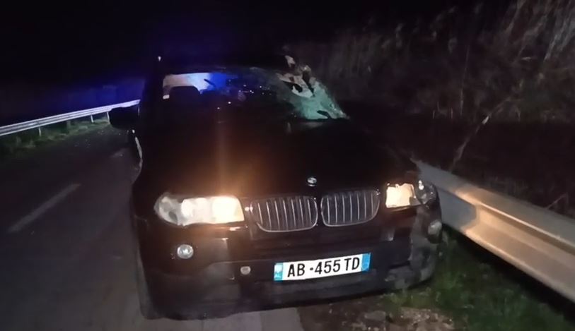 BMW ja përplas kalin në Lushnjë  Plagoset bashkëshortja e shoferit  kafsha ngordh në vend