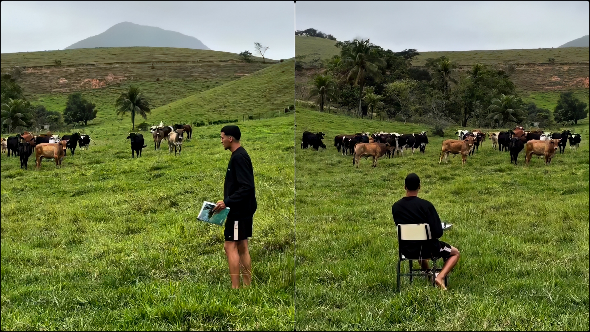  Apeli  më i pazakontë që do të shihni ndonjëherë  por me nxënës katërkëmbësh