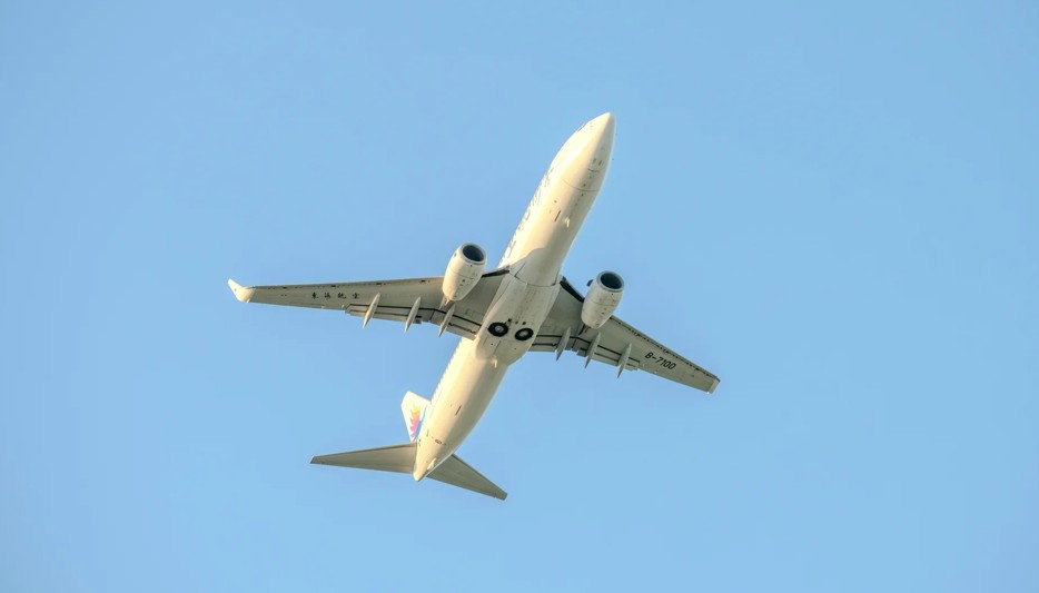 Foshnja ndërron jetë gjatë fluturimit për në Paris