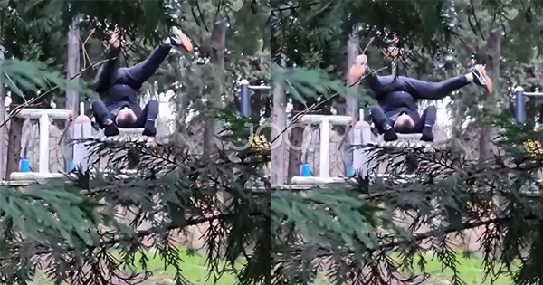 Skenë e pazakontë tek Liqeni: Stërvitje apo strategji për Shën Valentin?