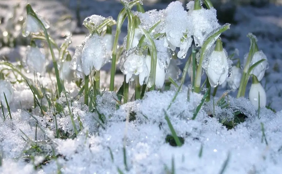 Janari 2026 ndër më të ngrohtët globalisht, por Evropa me dimër të ftohtë