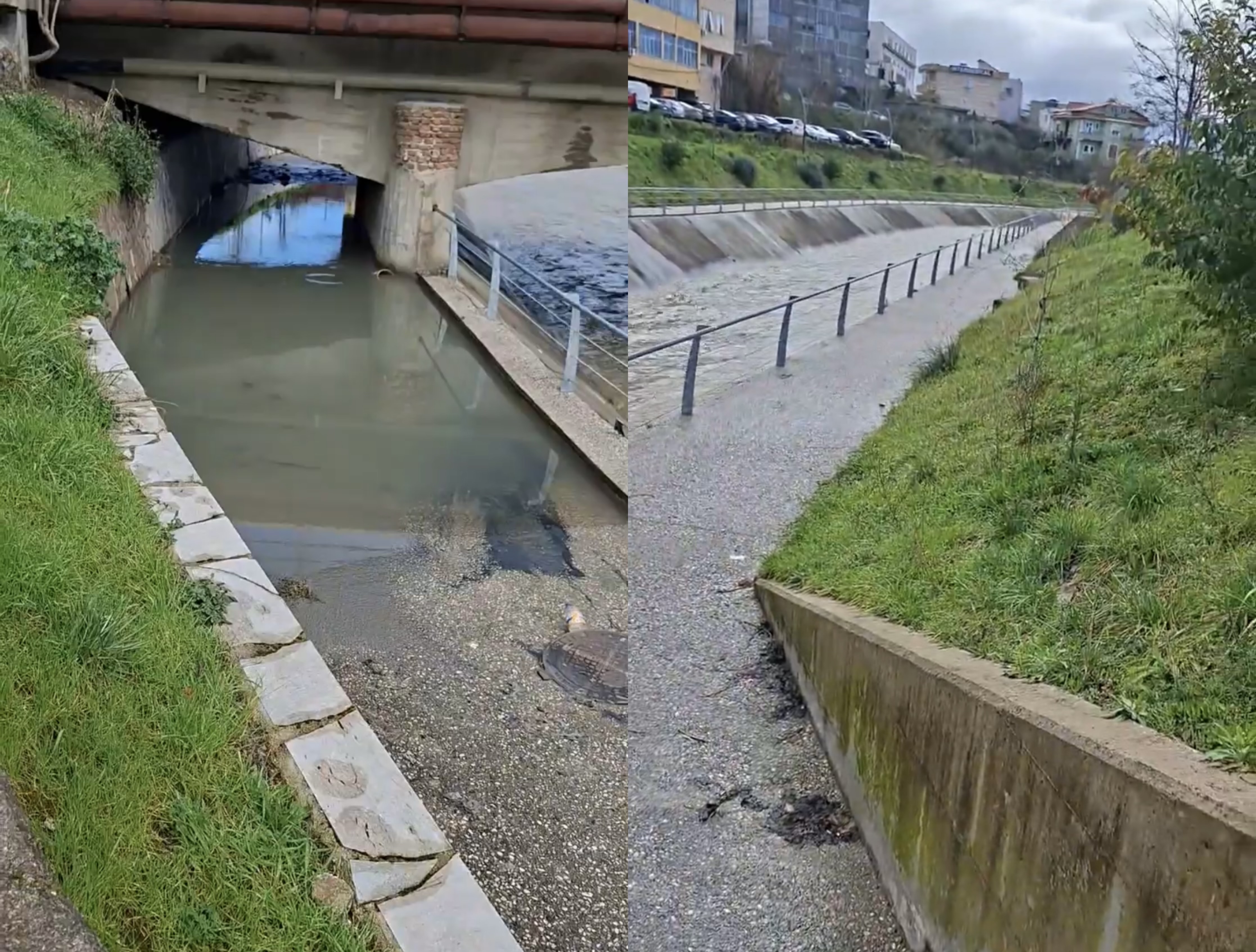 fieri-kundermon-ere-te-rende-ujerat-e-zeza-dalin-ne-siperfaqe-kudo