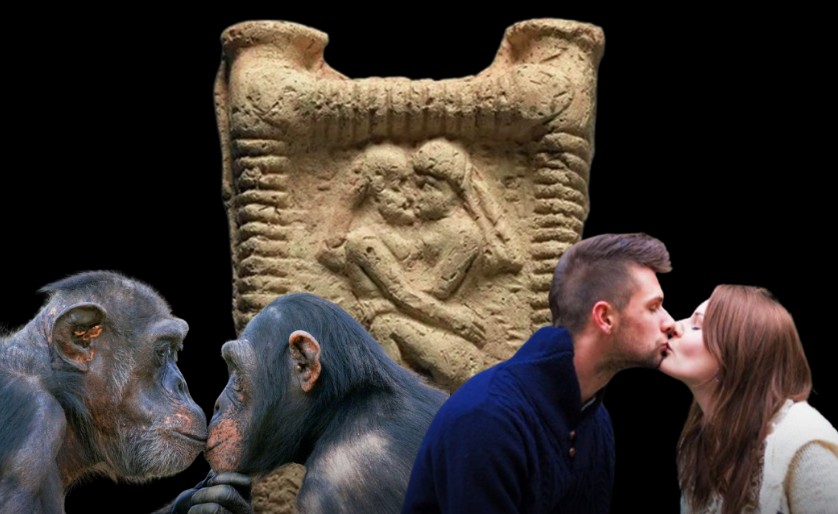 Si lindi puthja  Nga perënditë te njerëzit  54  e njerëzve nuk e praktikojnë fare