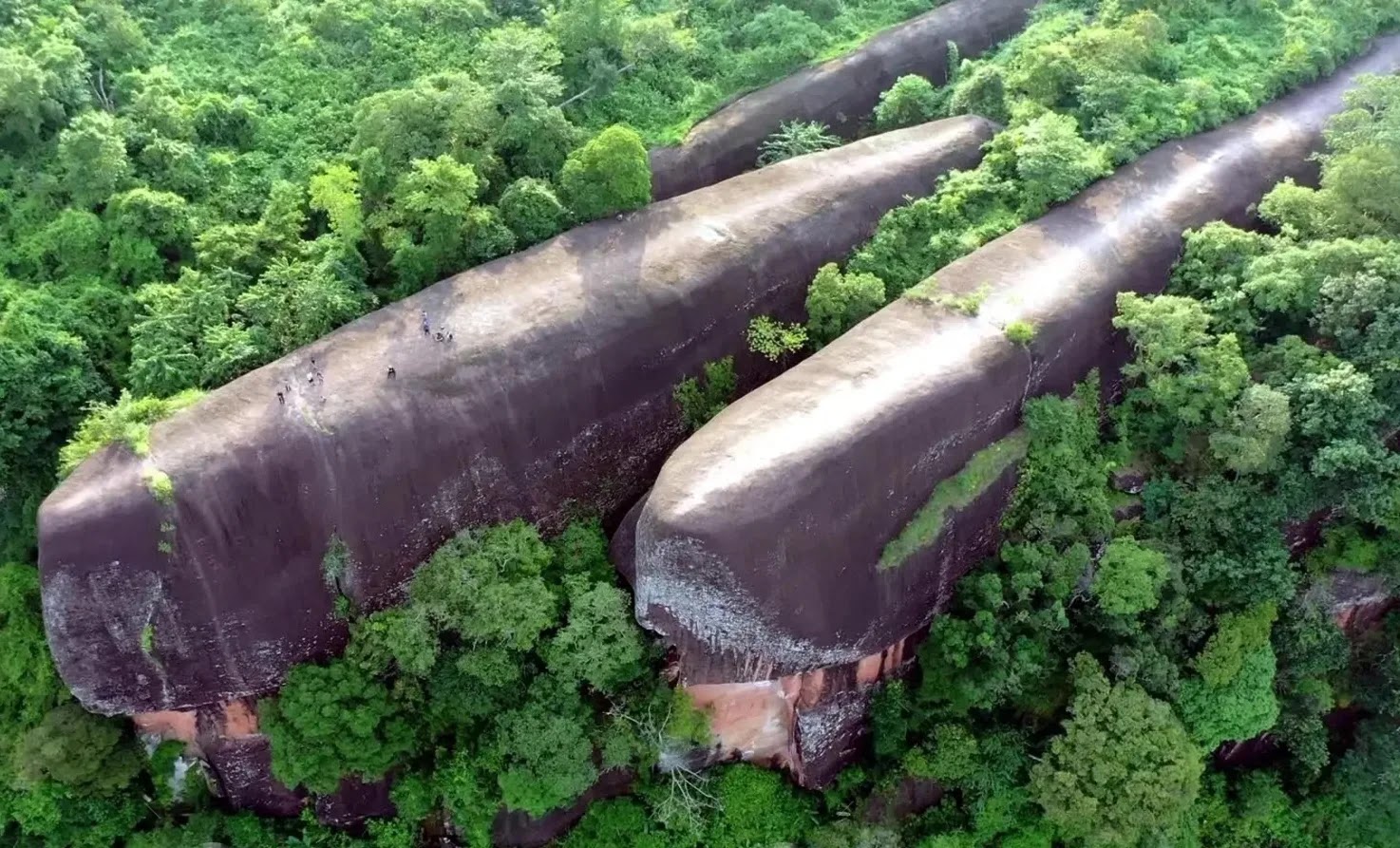 “Familja e Balenave” prej guri: Mrekullia 75 milionë-vjeçare që “noton” mbi xhunglën e Tajlandës