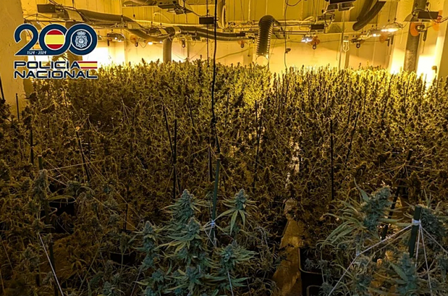 Çmontohet banda shqiptare në Valencia  arrestohen 8 persona