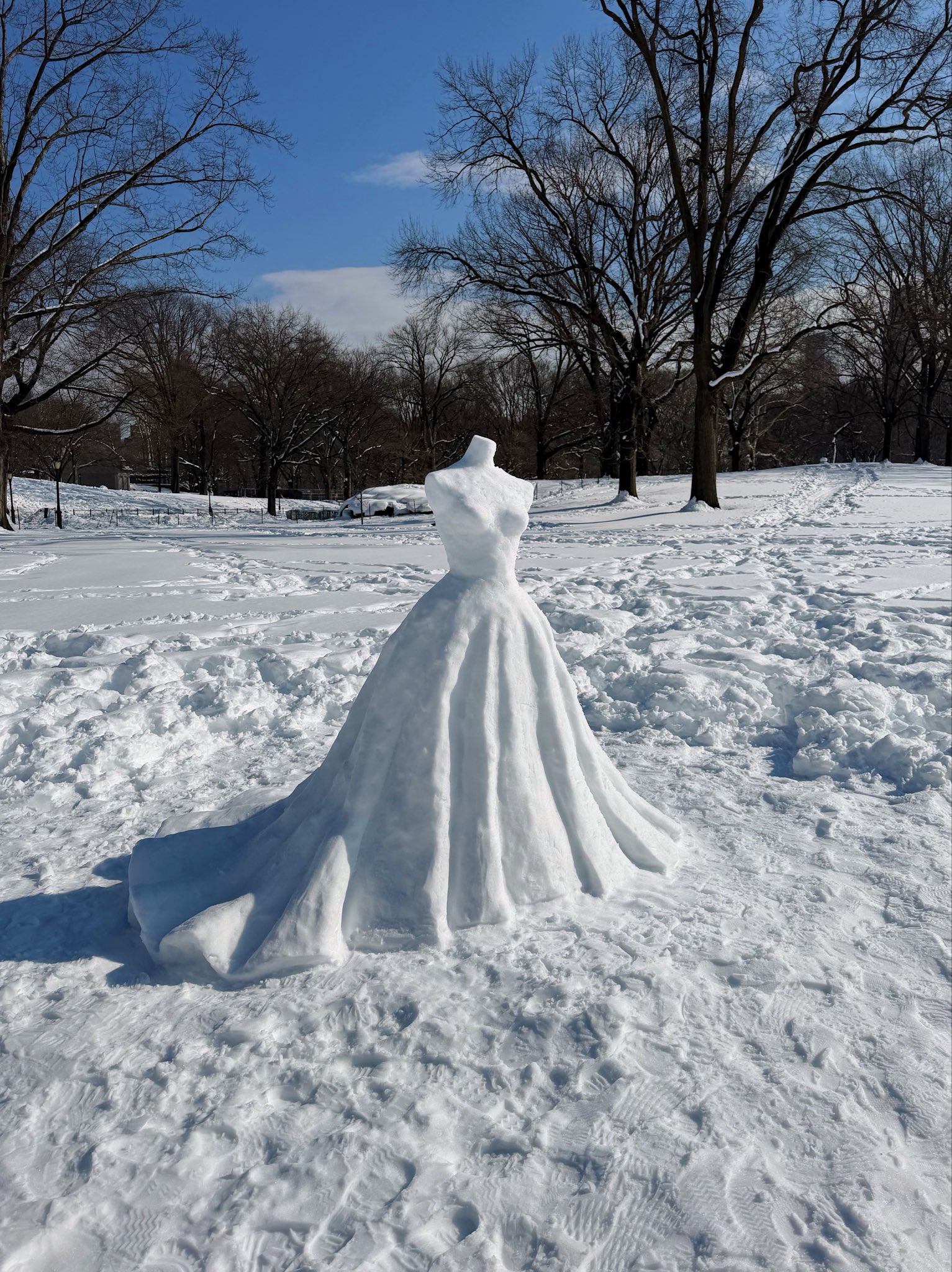Arti takon dimrin! Velloja e ëndrrave e krijuar nga bora