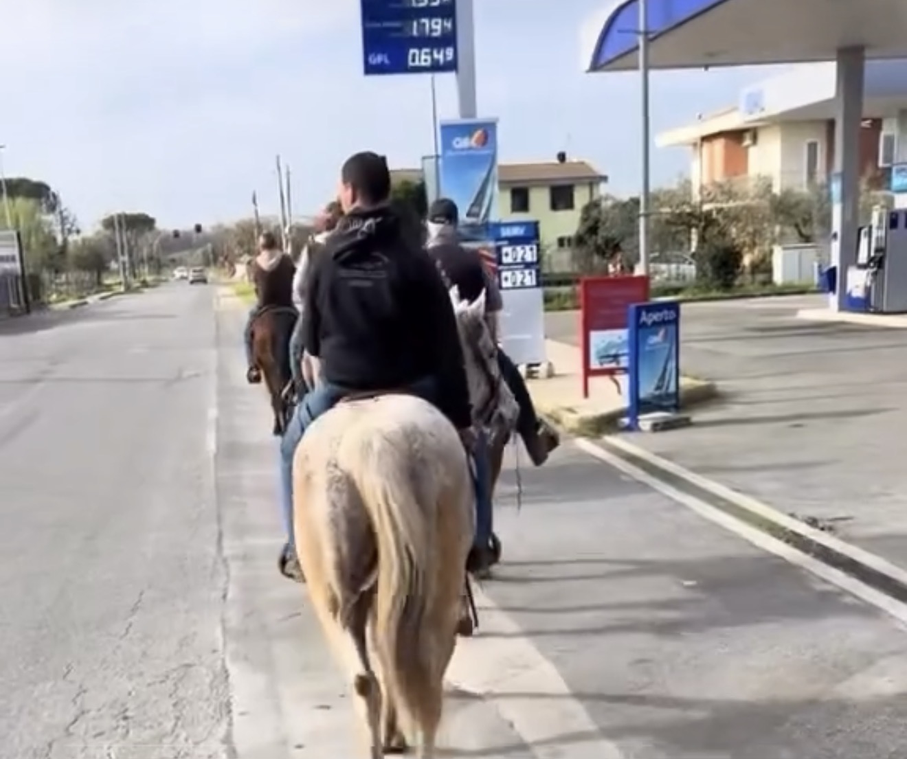 Italianët dalin në protesta me kuaj për rritjen e çmimit të naftës
