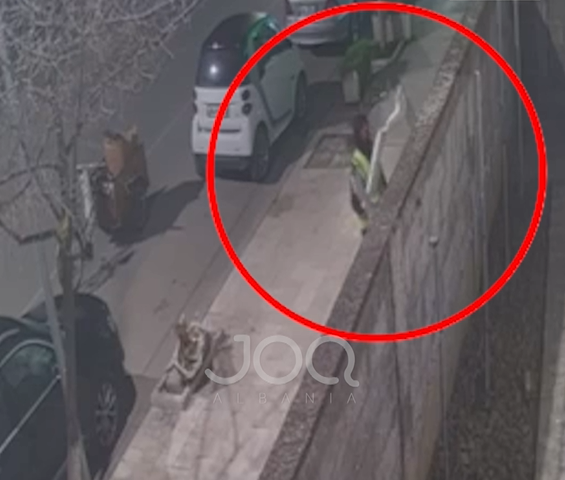  Punonjësit e mirëmbajtjes po na hedhin mbeturinat në shtëpi 