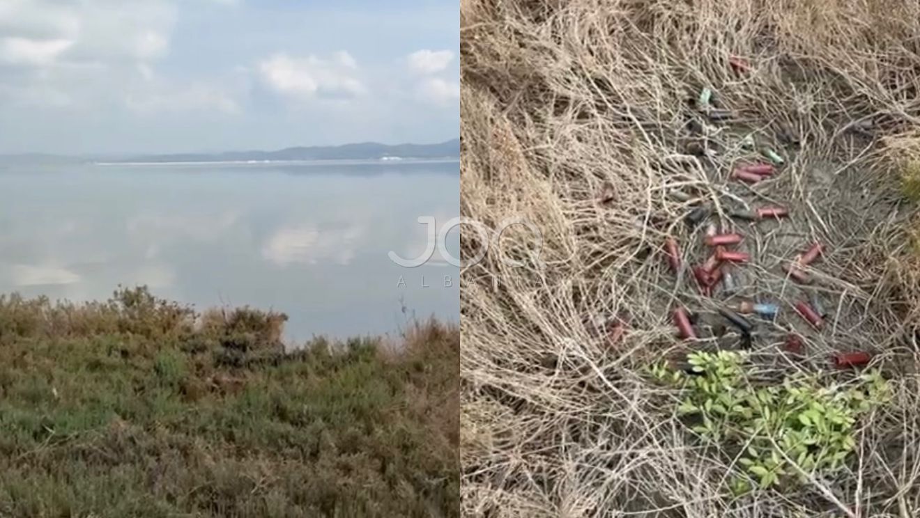 “Gjahtarët po bëjnë ‘ligjin’ në Lagunën e Nartës, zona e mbrojtur mbetet vetëm në letër”