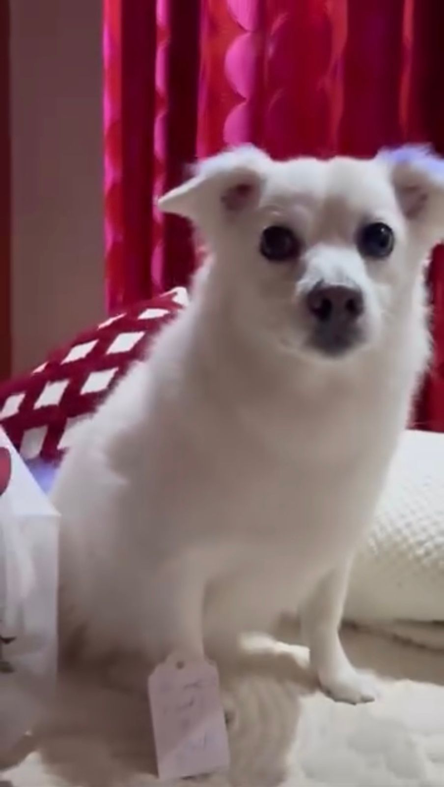 edhe-jorki-e-uron-mamin-per-8-mars