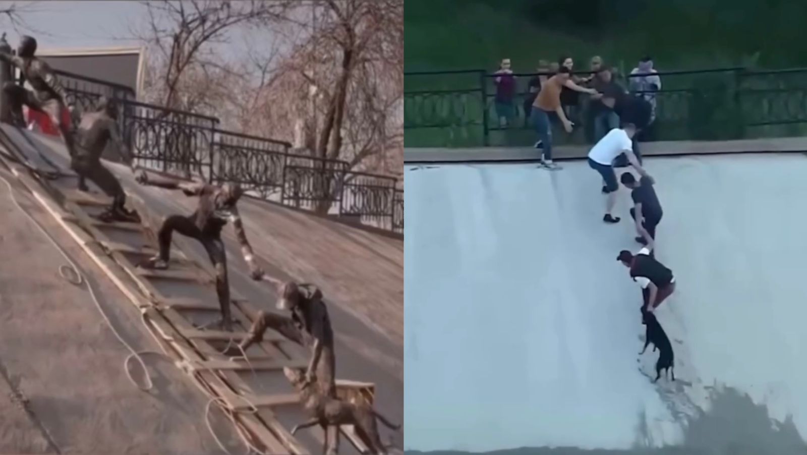 Njerëzit shpëtuan qenin nga mbytja, momenti prekës skalitet në skulpturë