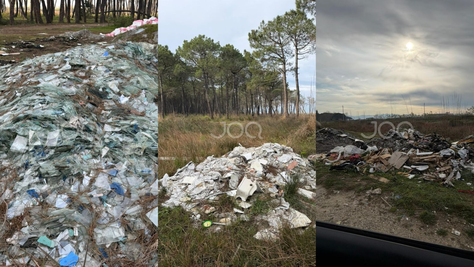 Masakër mjedisore në Durrës! Pylli i vetëm i mbetur në “Sektori Rinia” po shkatërrohet dita-ditës