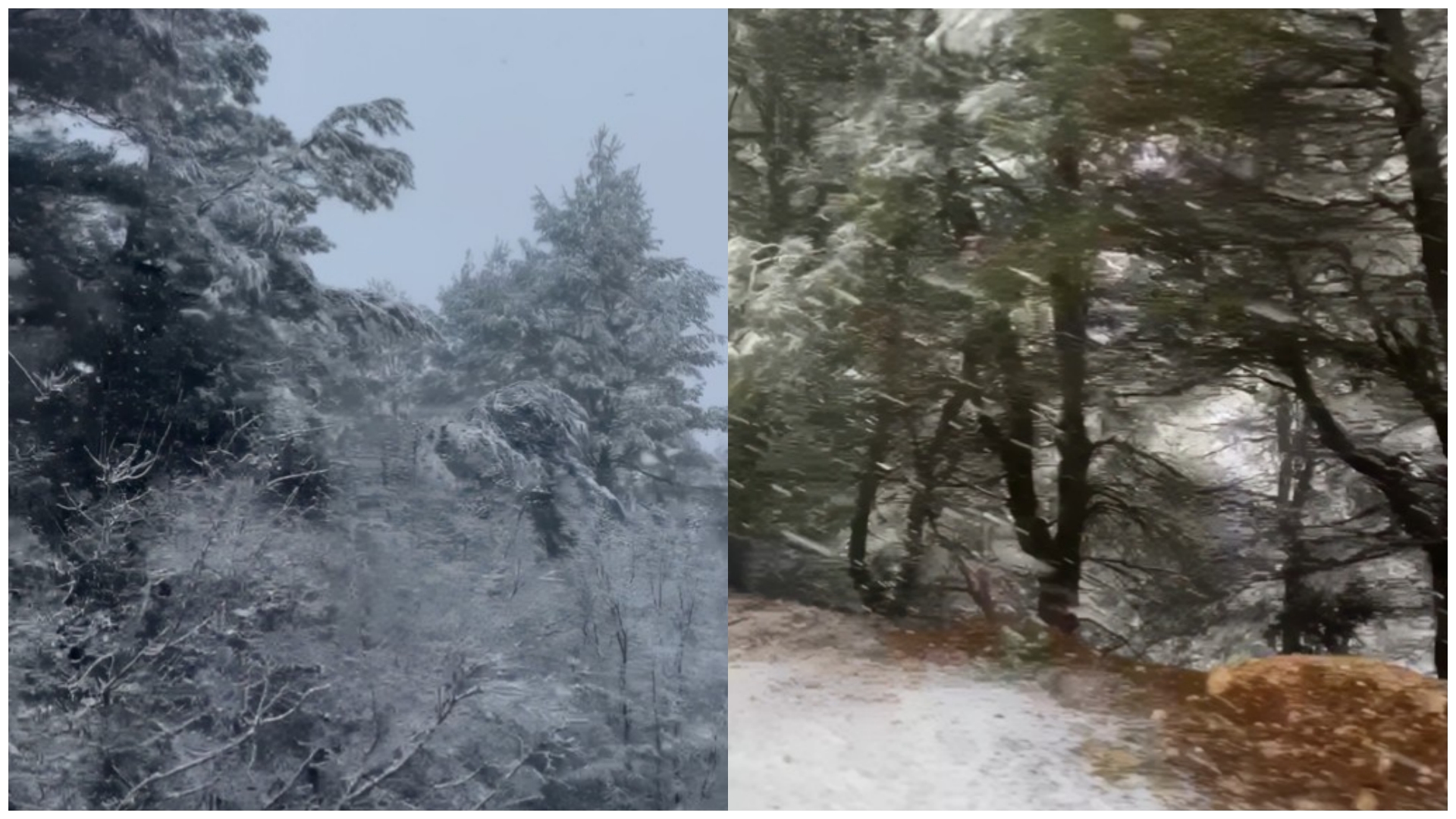 Dëbora mbulon Gjirokastrën  pamje përrallore nga Fushëbardha