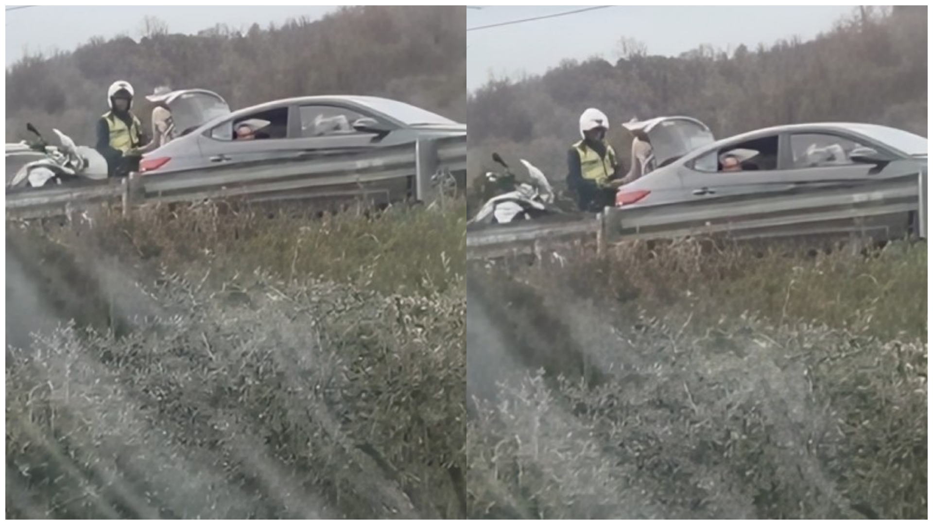 Ligji mall pazari  efektivi rrugores merr 20 mijë lekshin dhe vazhdon drejtimin