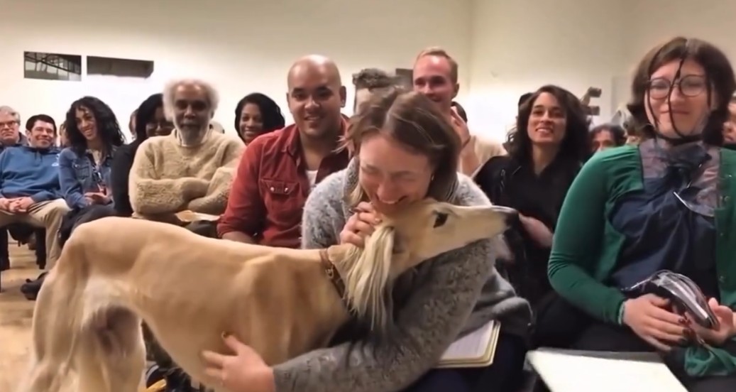 Përmes ndjesisë së parë  katërputroshët zgjedhin vetë familjen e tyre