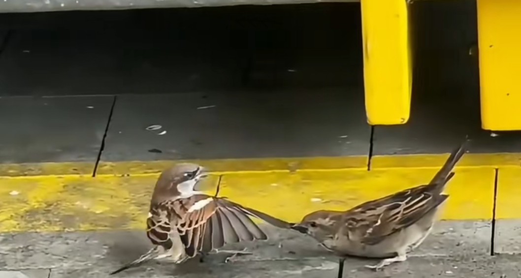 Nëse dashuria është e vërtetë  nuk të lë kurrë të ikësh 