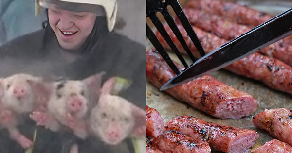 Zjarrfikësit shpëtuan derrat nga zjarri  muaj më vonë i hëngrën si salçiçe në shenjë falënderimi