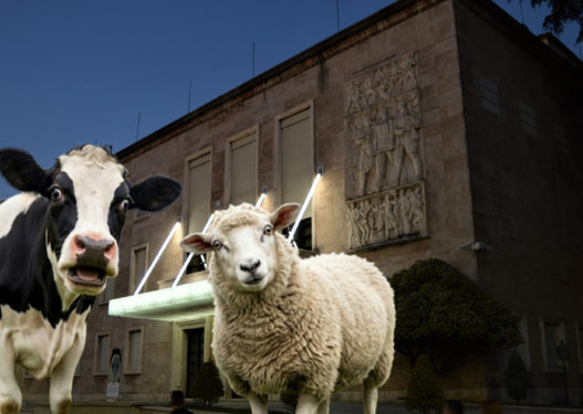 Shteti “ngrin” fermerët në kulmin e krizës: Hiqet nafta falas