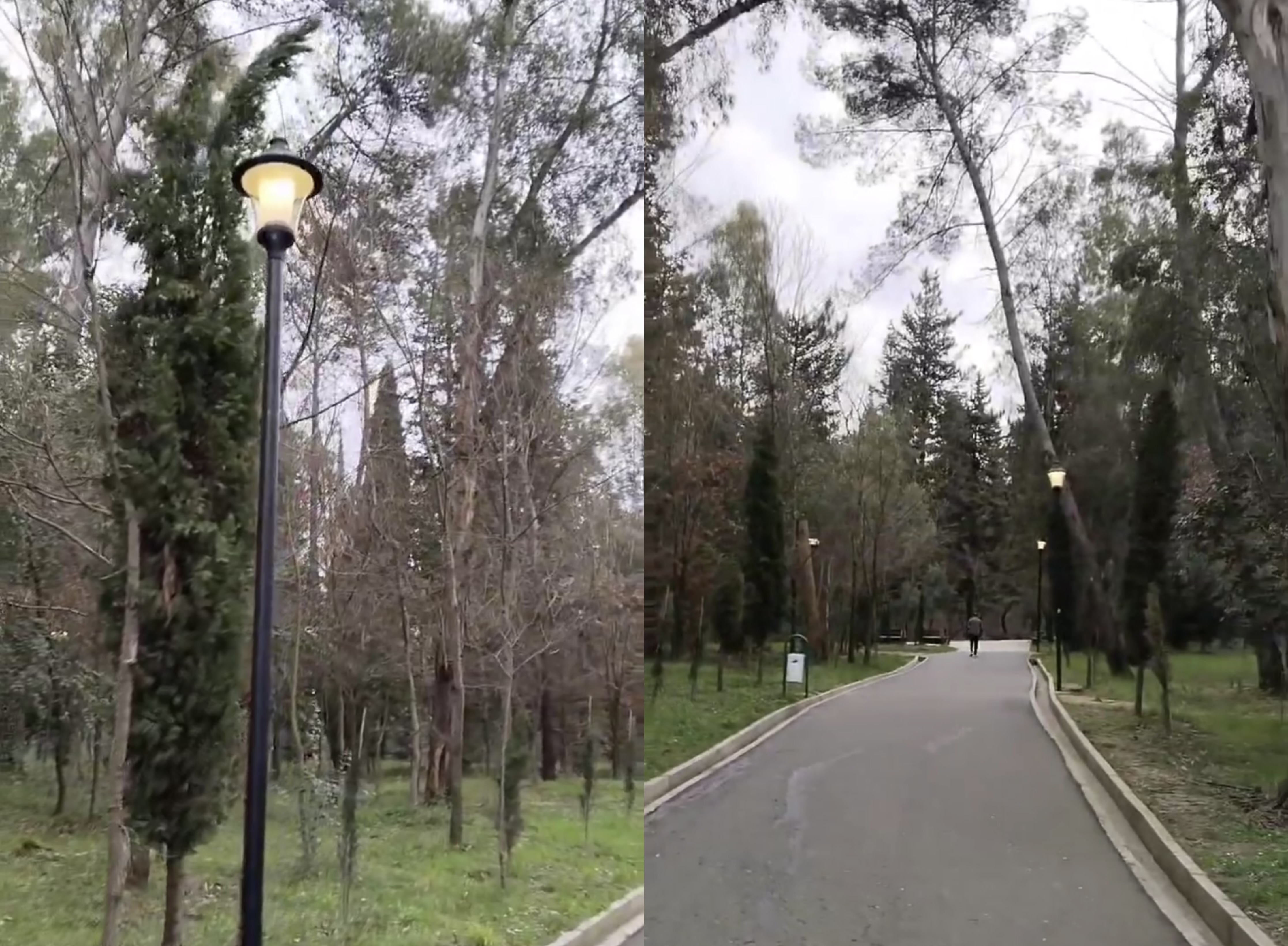 Dritat e shëtitores te liqeni ndezur ditën si natën, qytetari: Shteti s’pyet për taksat tona