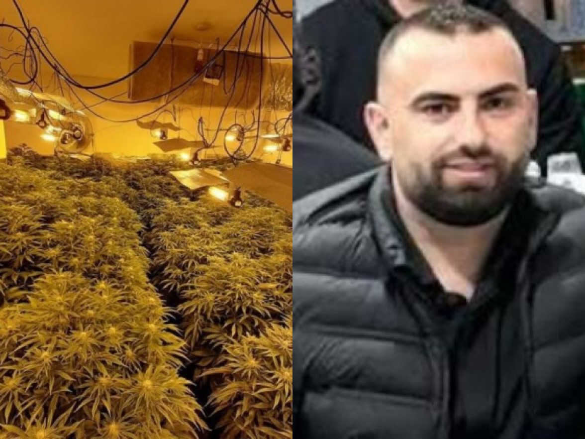 4 mijë rrënjë kanabisi u gjetën në banesën e tij, shpallet në kërkim drejtori i burgut të Rrogozhinës