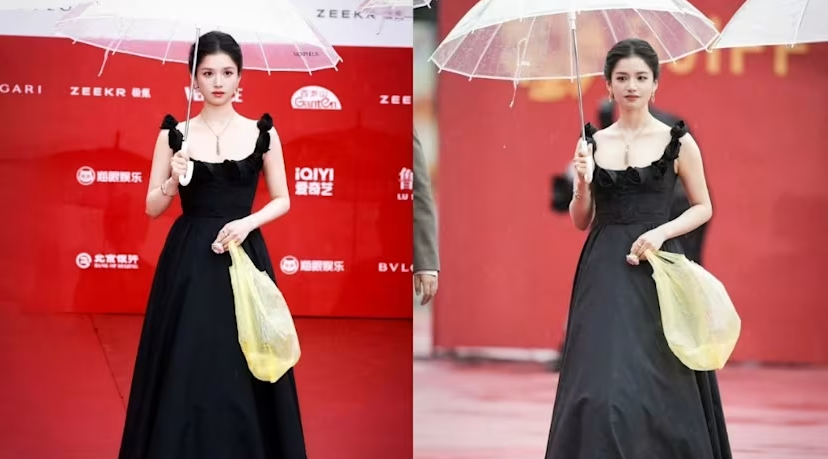 Hidhet në treg qesja e plehrave me çmimin 1,790 dollarë! Do e blije?