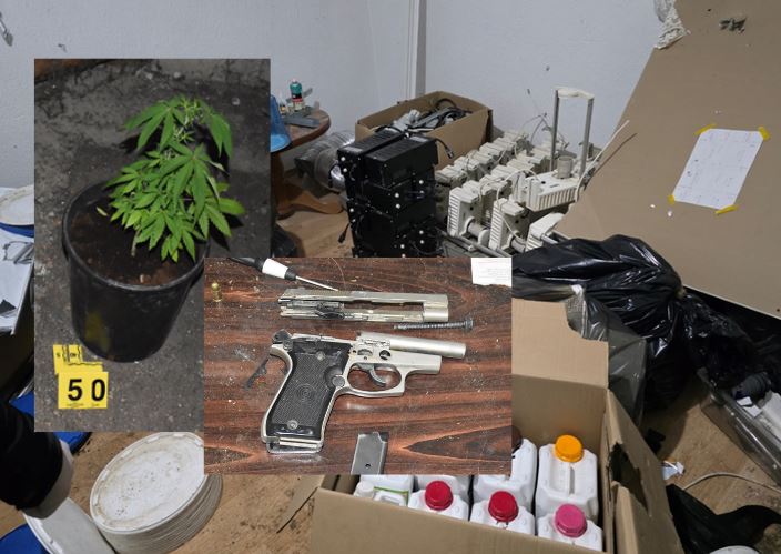 Arrestohen dy të dyshuar për kultivim të bimëve narkotike dhe mbajtje në pronësi të armëve