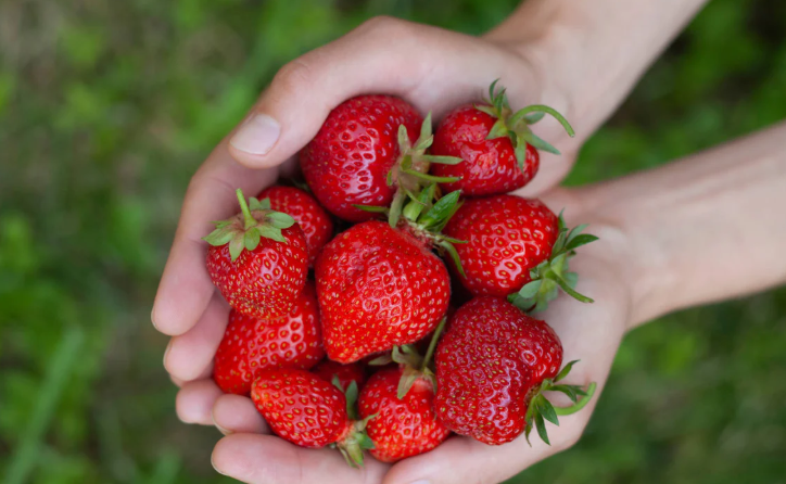 Ushqimet që forcojnë sistemin imunitar natyrshëm