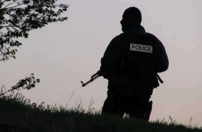 Arrestohen dy shtetas serb, tentuan të futen ilegalisht në Kosovë