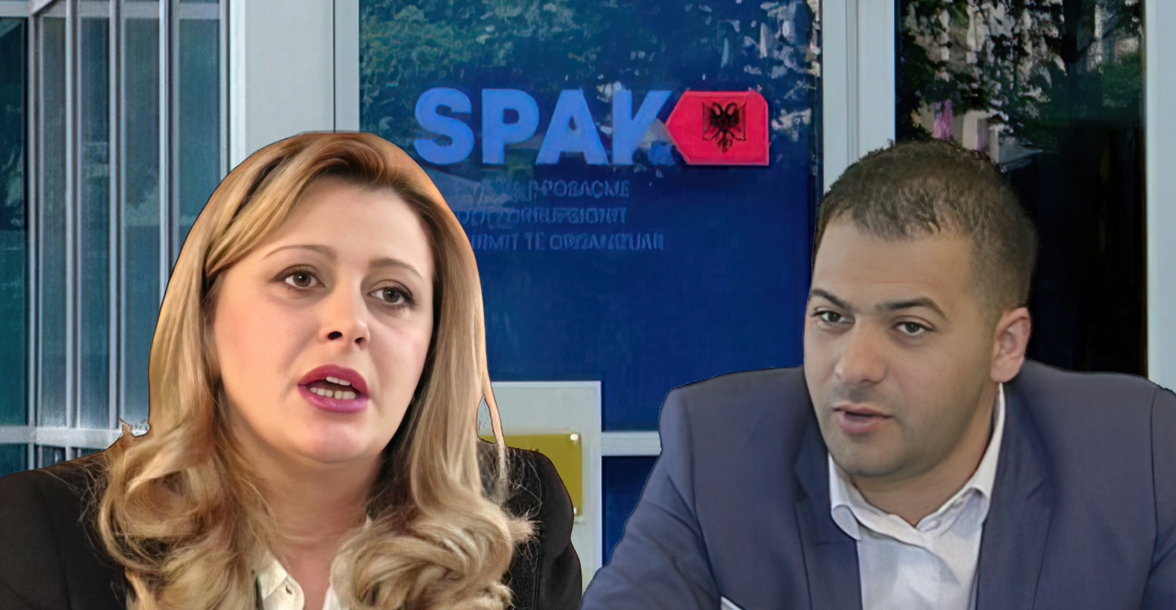 Dallëndyshe Bici i kaloi në pronësi vilën  godinat dhe 5 hektarë tokë Ergys Agasit