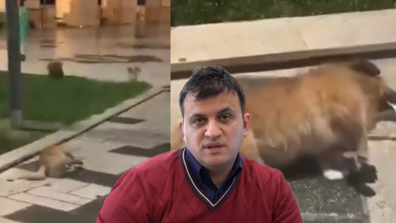 Gazetari i PS zbulon pacientin 0 në bashkinë e SIDËS