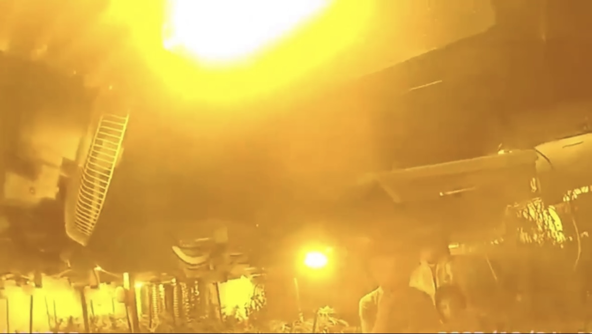 uluni-dhe-mos-levizni-650-rrenje-kanabisi-zbulohen-ne-shtepine-e-shqiptareve