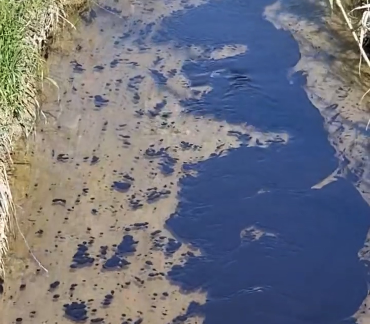Vjosa po ndotet  solari i puseve të naftës përfundon direkt e në lumë