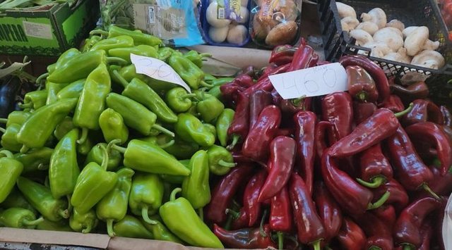 Rritje e fortë e çmimeve  Shqipëria  europianizohet  më shpejt se pagat