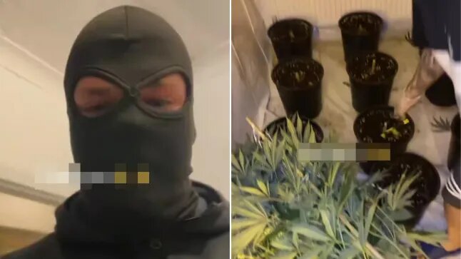  Tirana e vogël   media britanike për bandat shqiptare në Londër  Publikojnë video duke bastisur shtëpia bari