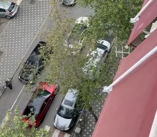 Cubat me makina luksoze garojnë kush bën zhurmën më të lartë