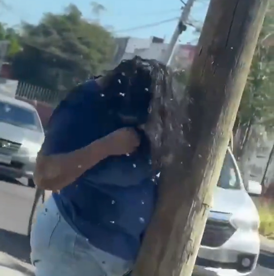 E frikshme  Gruaja sulmohet nga qindra bletë  shpëton pas mbi 200 pickimesh