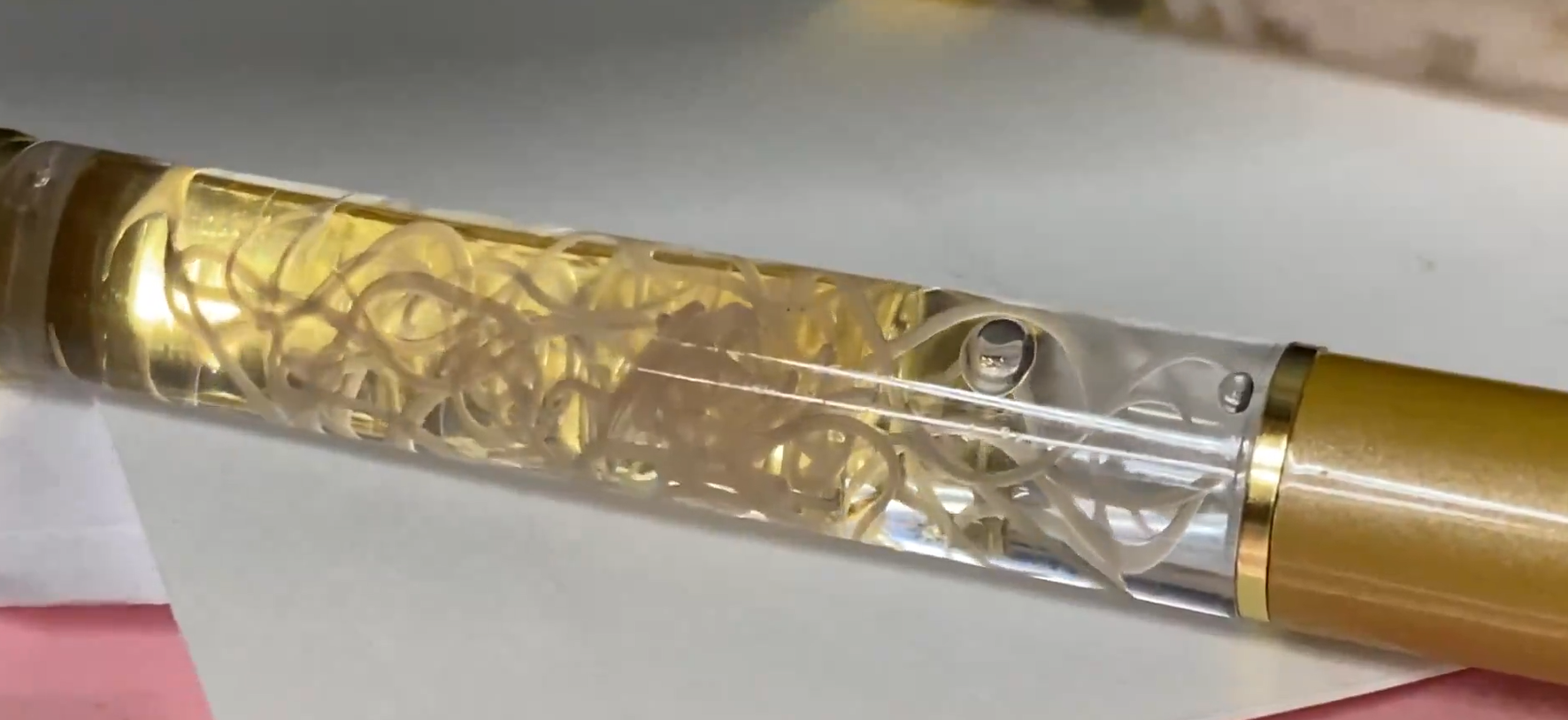 Shpikja e çuditshme japoneze  Stilolapsi që mban brenda një krimb parazit të gjallë