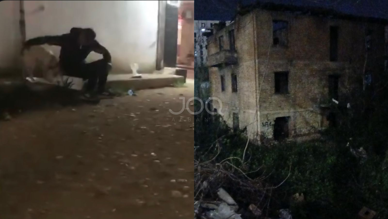 Qeni dhunohet çdo ditë nga një endacak, qytetarët kërkojnë ndërhyrje urgjente