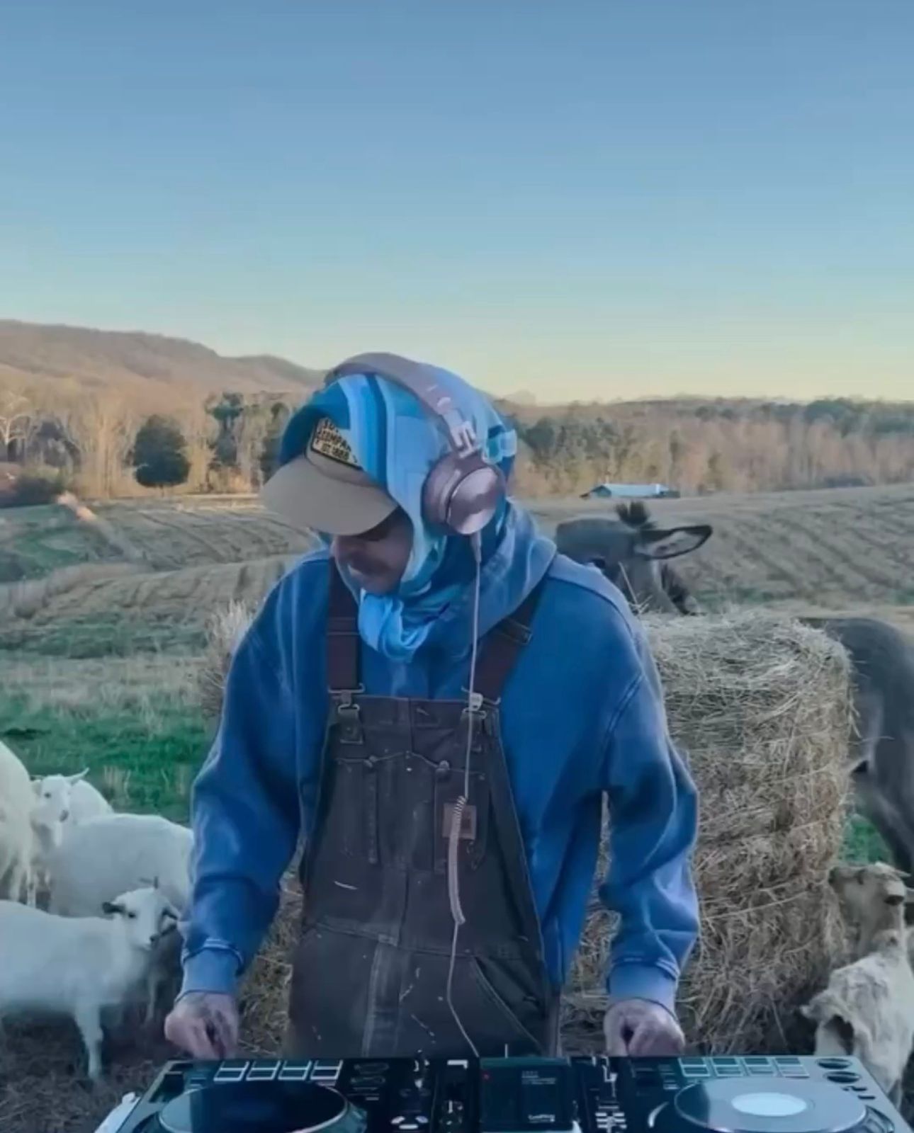  Party  në fermë  DJ luan muzikë techno për dhitë e gomerët