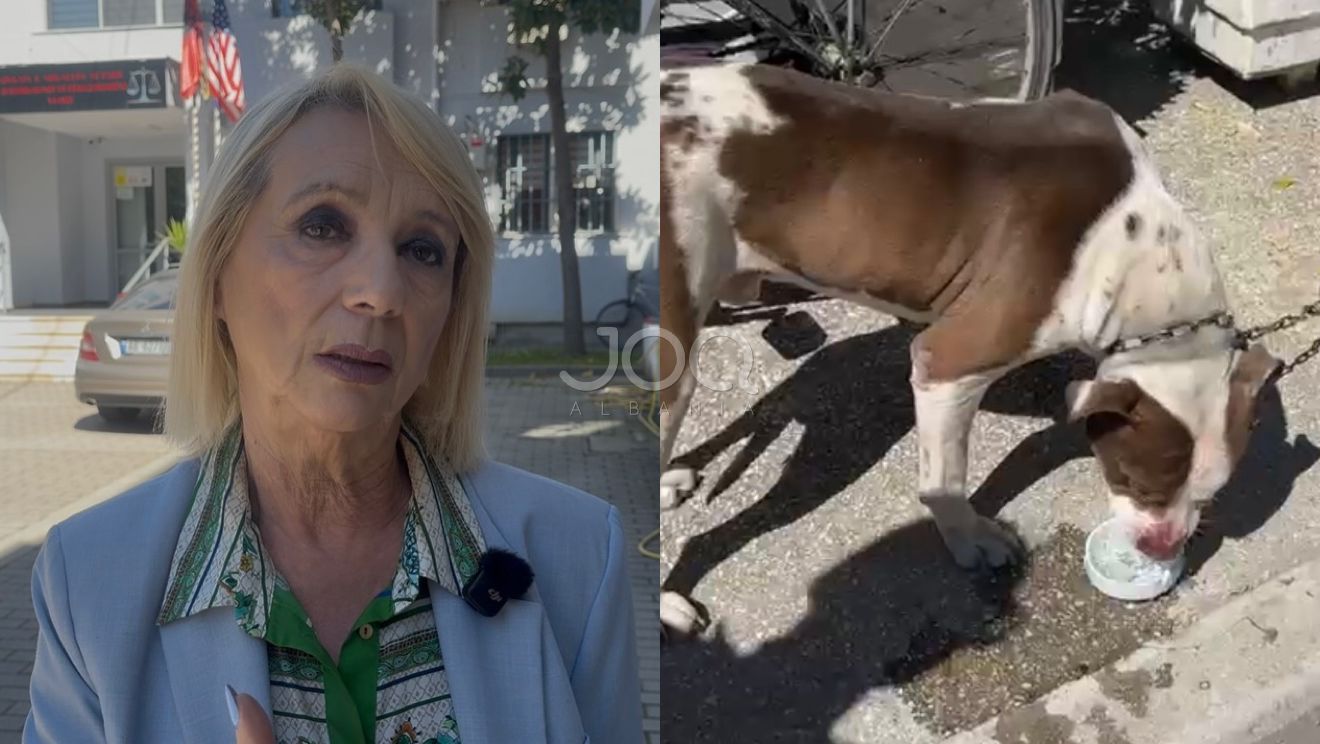 Animalistja Kalaja  Bruna Mersini po paguan për të ndryshuar historinë e vrasjes së pitbullit