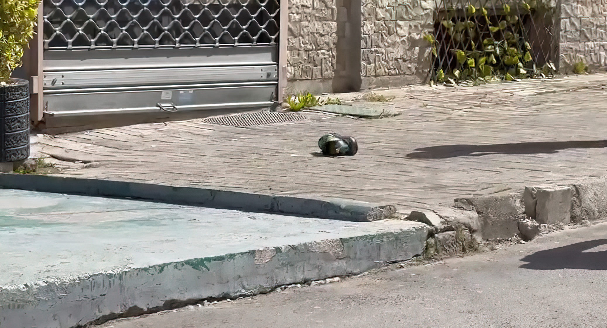 Sherr i dhunshëm mes të rinjve në Korçë, plagoset 16-vjeçari