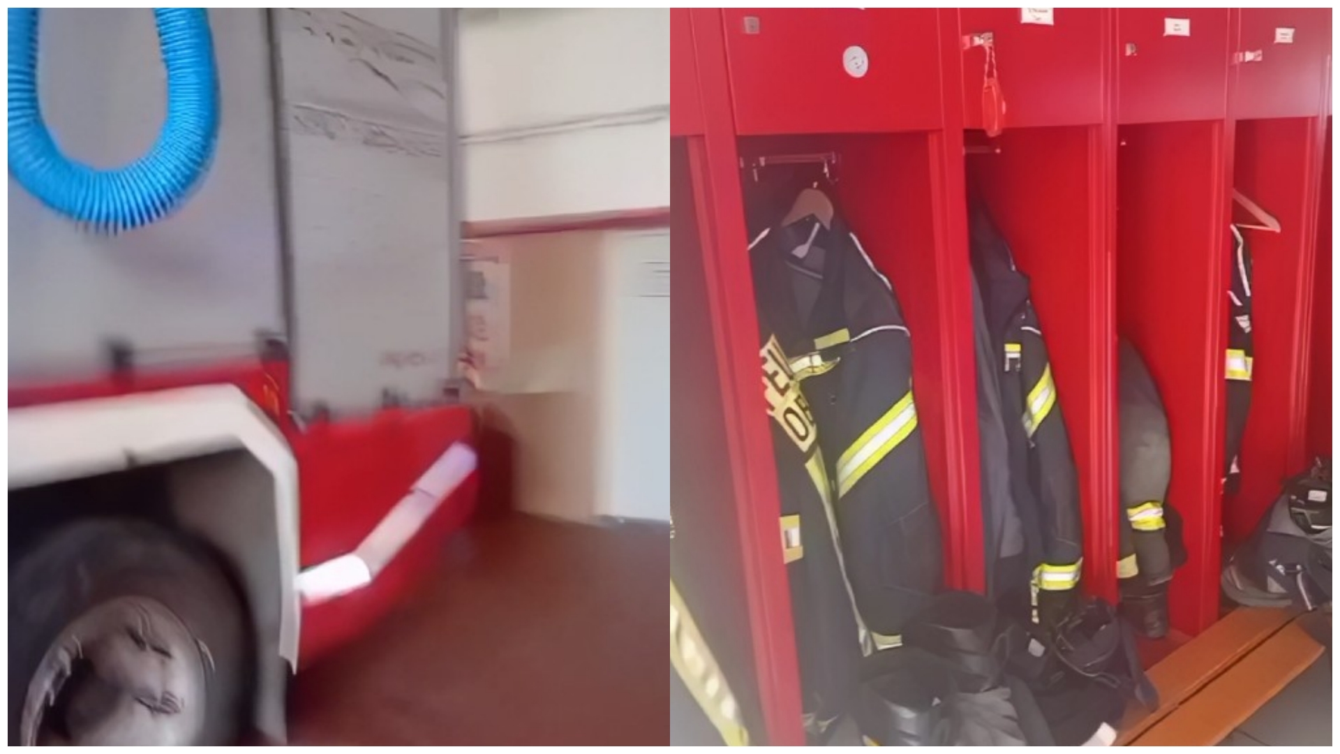 Zjarrfikësi shqiptar në Gjermani bën paralelizimin e hidhur  Këto janë mjete 