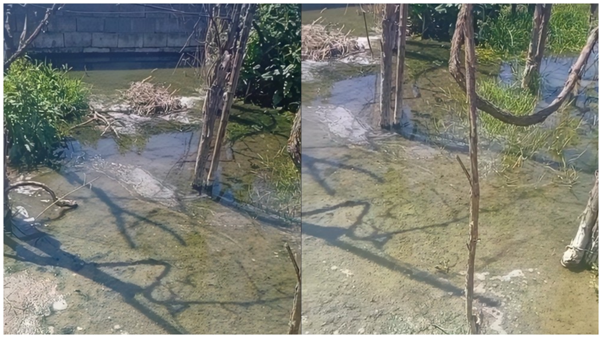 Ujërat e zeza i përmbysin shtëpinë qytetares  Bashkia Elbasan i thotë prit