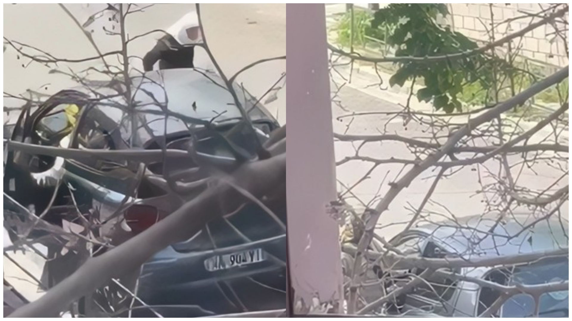 Gratë me shami filmohen pranë shkollës  Katund i Ri   largohen sapo shohin arsimtarët