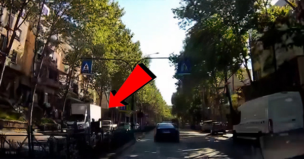  A nuk shikon o idiot    Dy të rinj me monopatinë përplasin këmbësorin te vijat e bardha