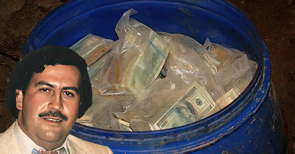 Gjeti 600 milionë dollarë të varrosura në arë, fermeri zbulon rastësisht pasurinë e Pablo Escobar